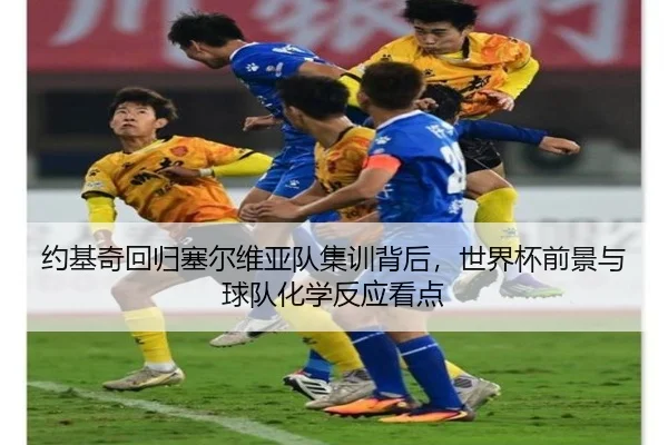 约基奇回归塞尔维亚队集训背后，世界杯前景与球队化学反应看点